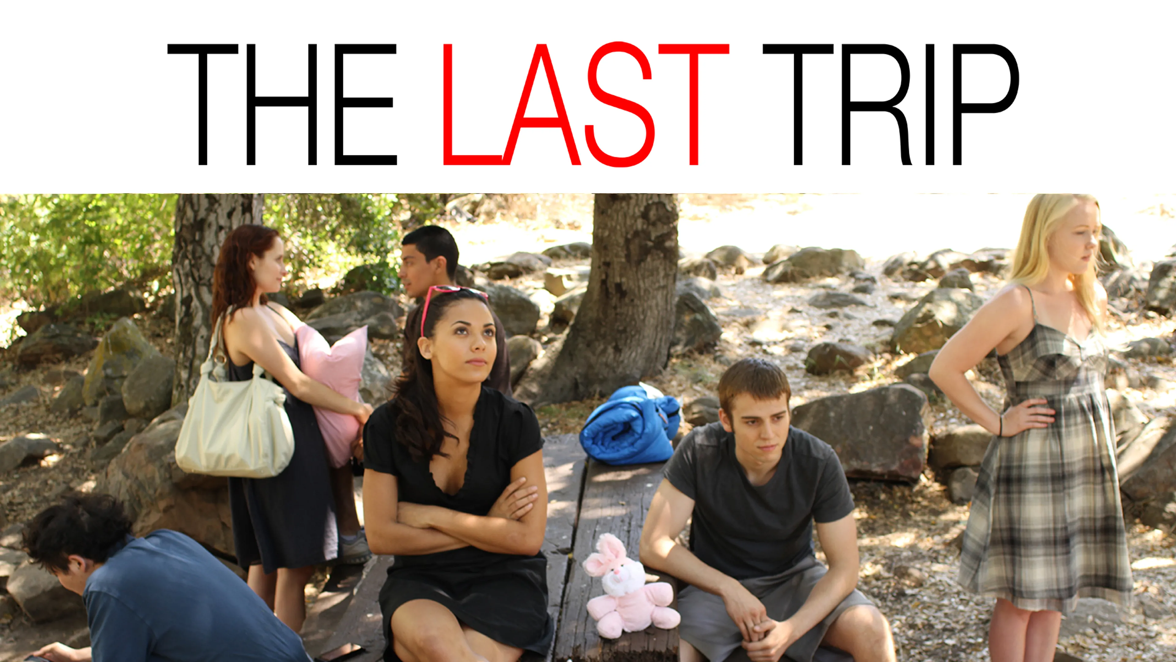 The Last Trip poster